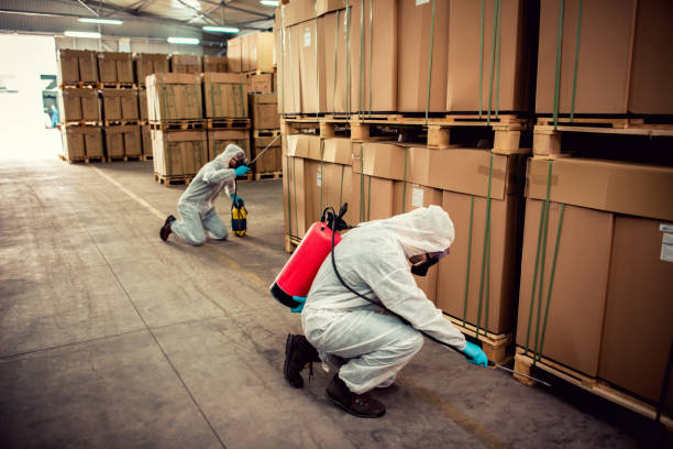 Best Pest Removal Services  in San Andreas, CA