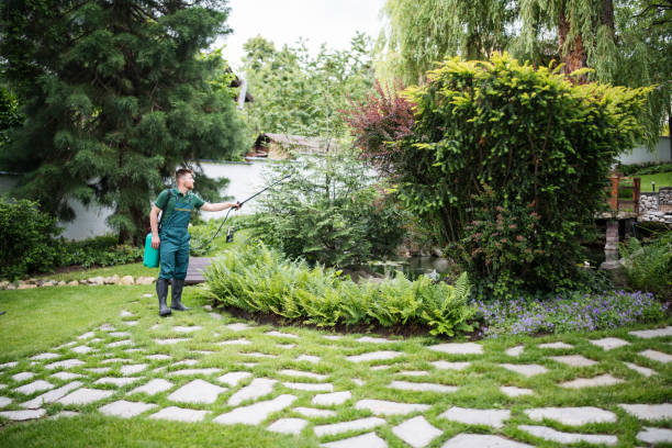 Best Best Pest Control Companies  in San Andreas, CA