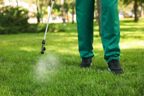 Best Mosquito Control Services  in San Andreas, CA