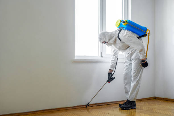 Best Affordable Pest Control Services  in San Andreas, CA